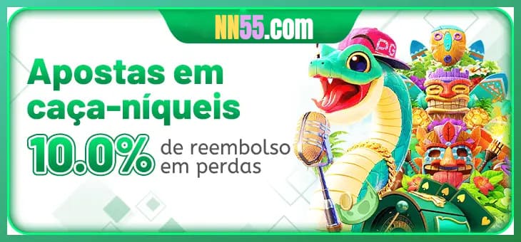 NN55 termos — contrato de uso e regulamento da plataforma